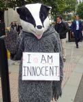 Badger protest at the Conservative Party Conference Manchester 